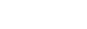Pro Fitness Web Design
